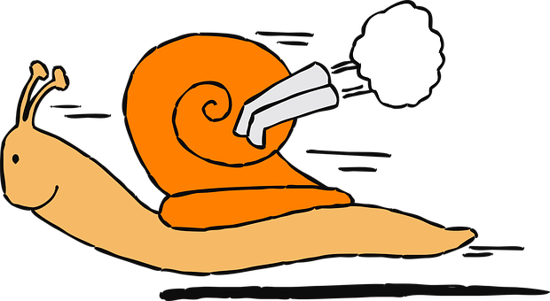 A Cartoon Of A Snail