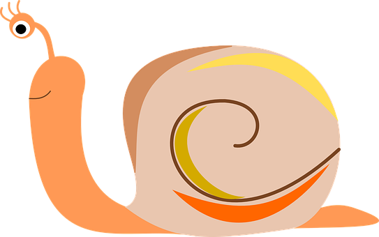 A Snail With A Spiral Design