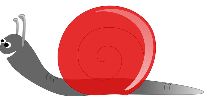 A Snail With A Spiral Shell