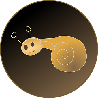 A Snail With A Spiral Design