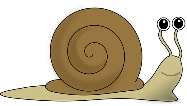 A Cartoon Of A Snail Shell
