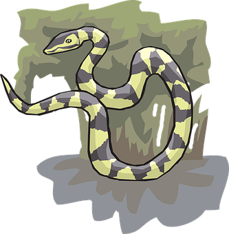 A Snake On A Rock