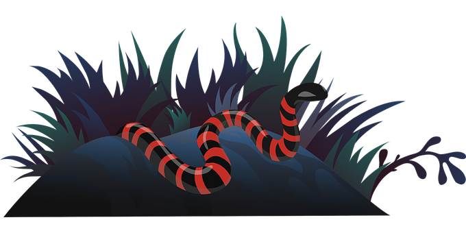 A Red And Black Snake