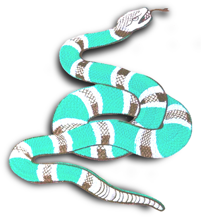 A Blue And White Snake