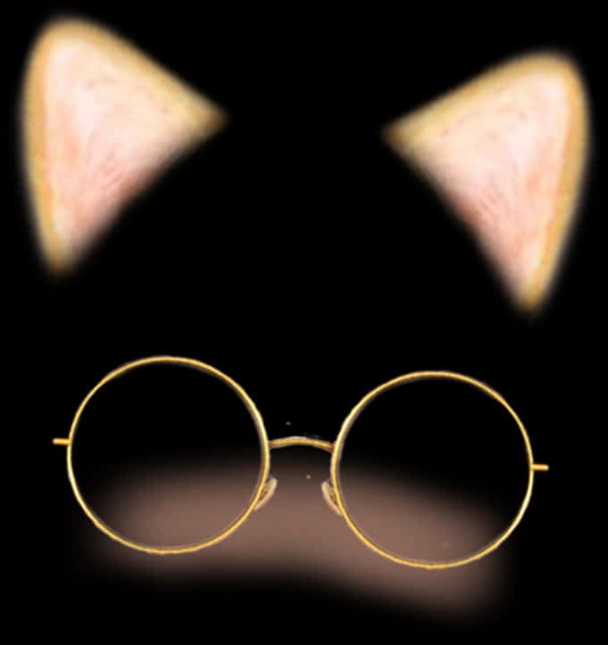 A Cat Ears And Glasses
