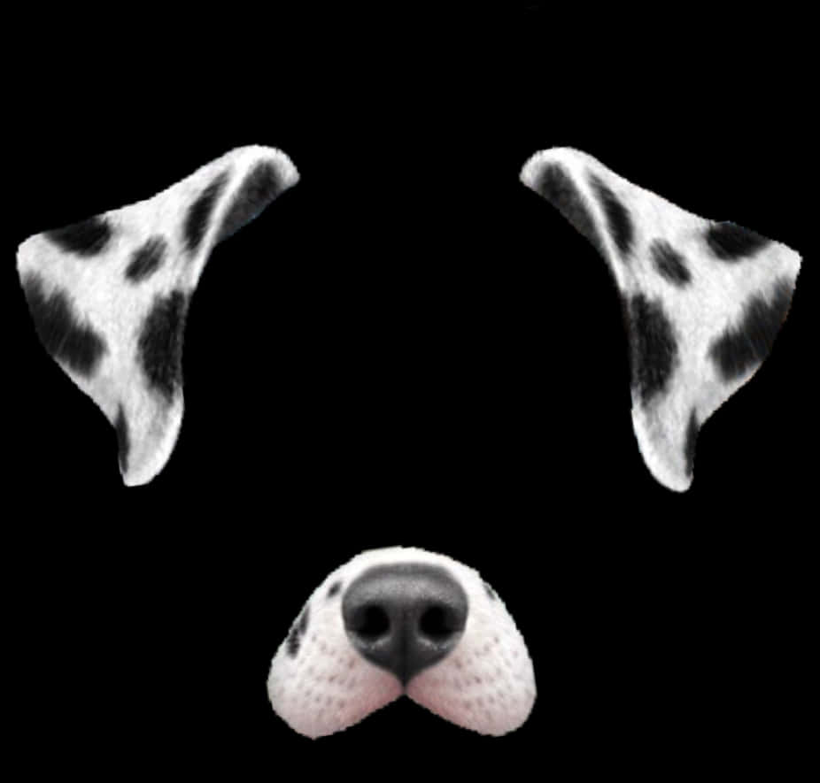 A Dog Face With Black And White Spots