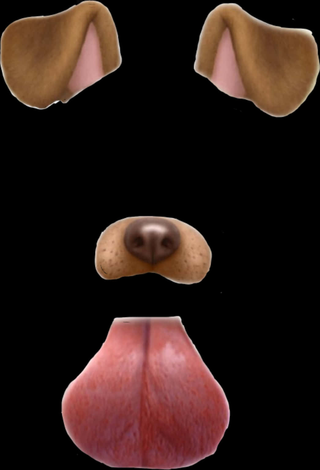 A Dog Face With Nose And Tongue