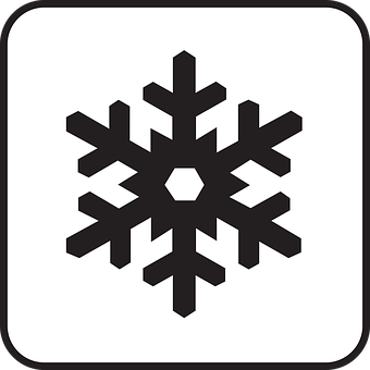 A Black And White Snowflake