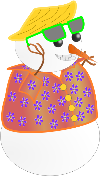 A Snowman Wearing A Hat And Sunglasses