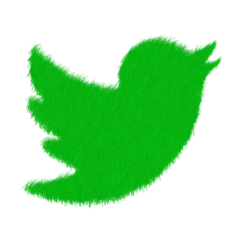 A Green Bird On A Black Background