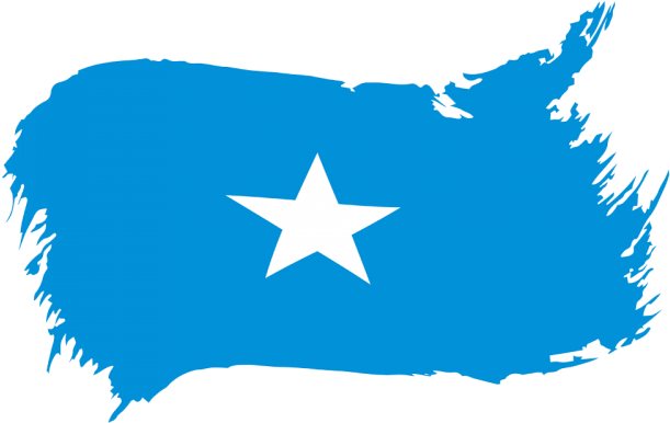 A Blue And White Flag With A White Star