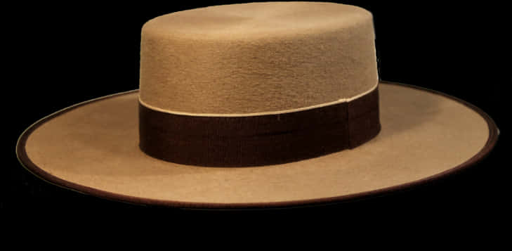 A Brown Hat With A Black Band