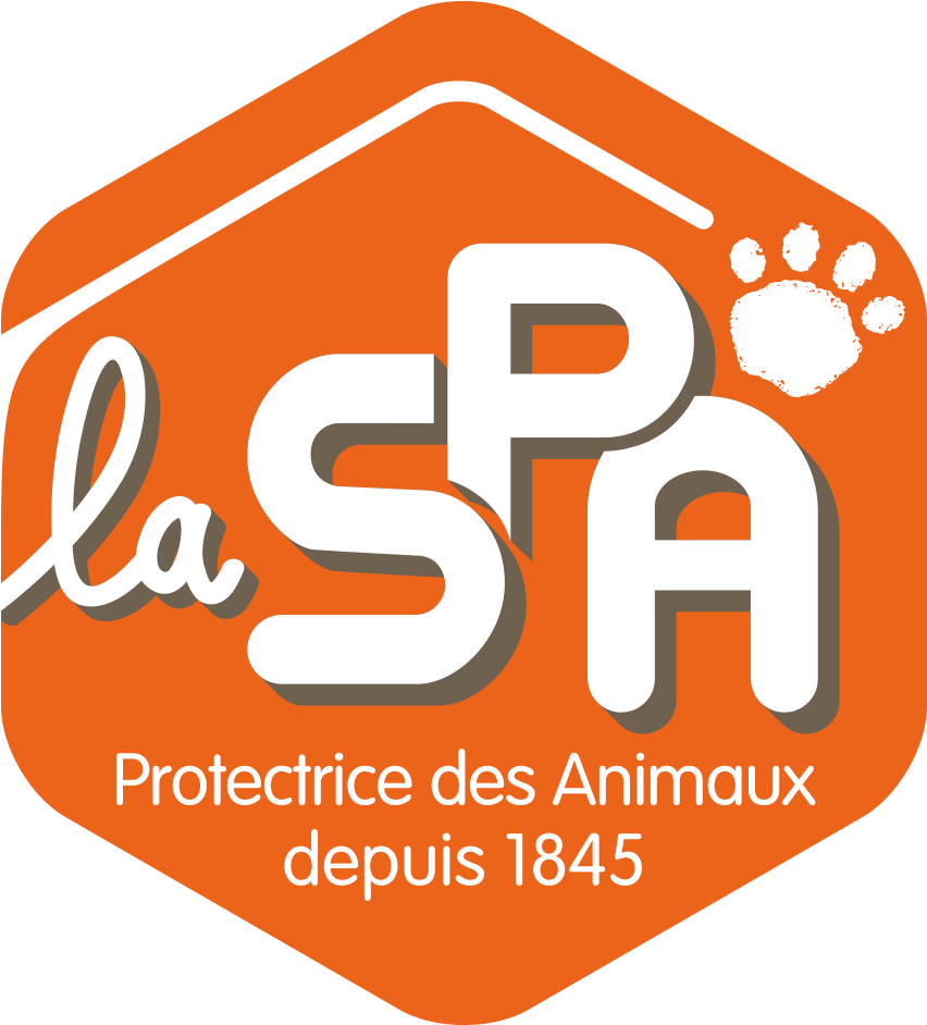 Spa Png 852 X 942