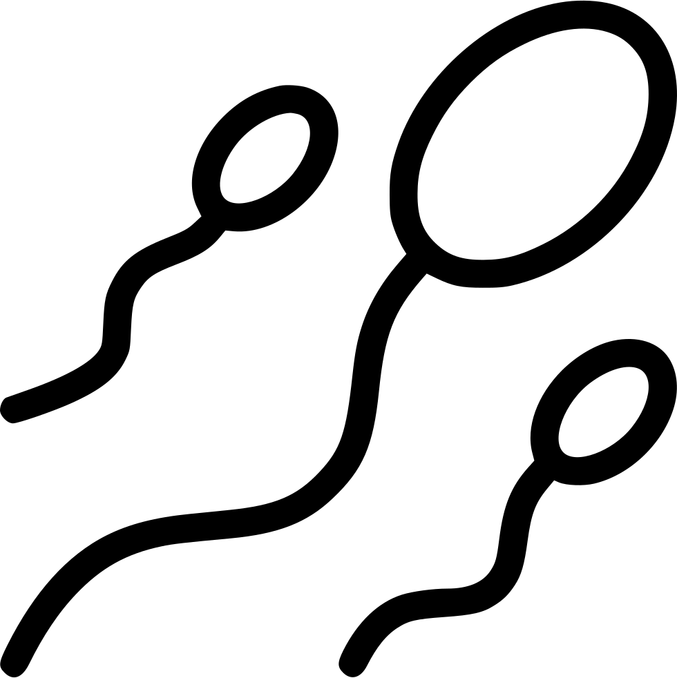 A Black Outline Of Spermatozoa