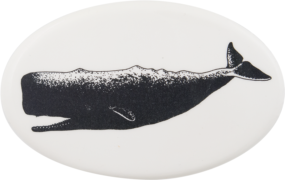 A Whale On A White Plate