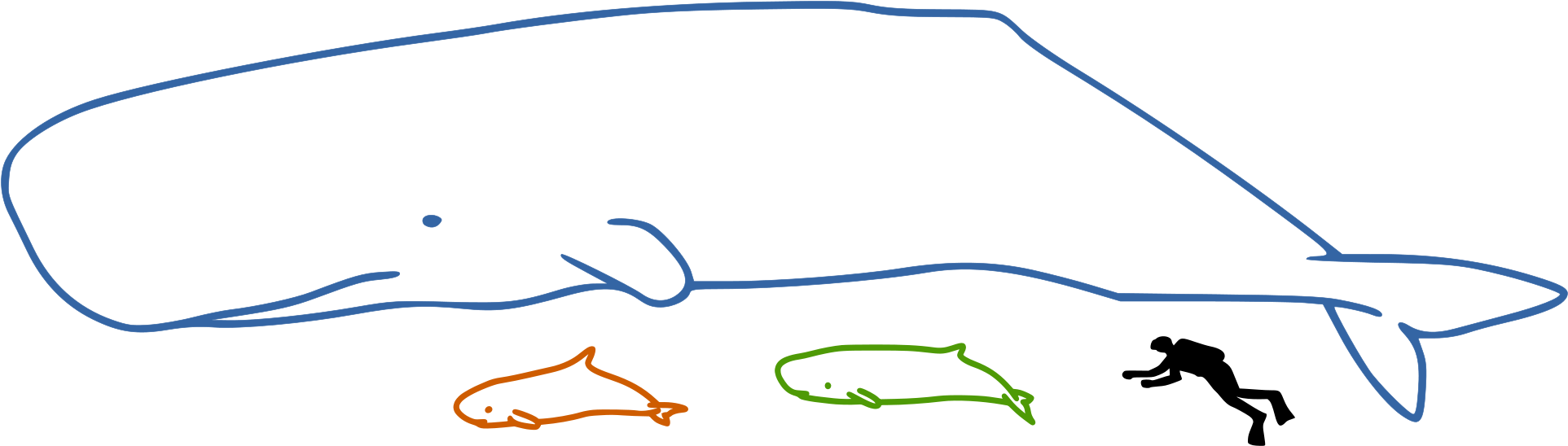 A Group Of Fish And A Whale