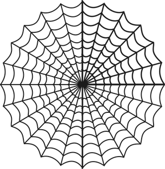 A Black And White Spider Web