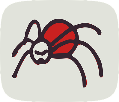 A Red And Black Spider