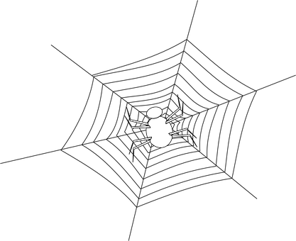A White Spider On A Black Background