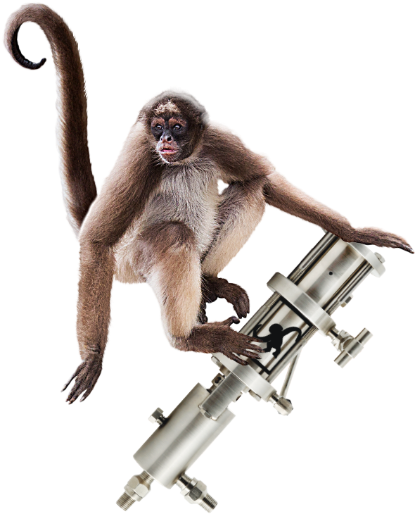 A Monkey Holding A Telescope