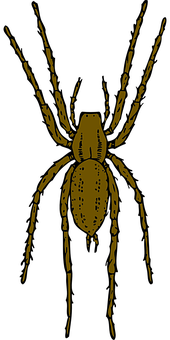 A Yellow Spider On A Black Background