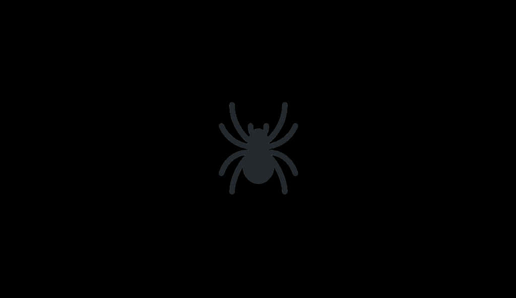 A Black Spider On A Black Background