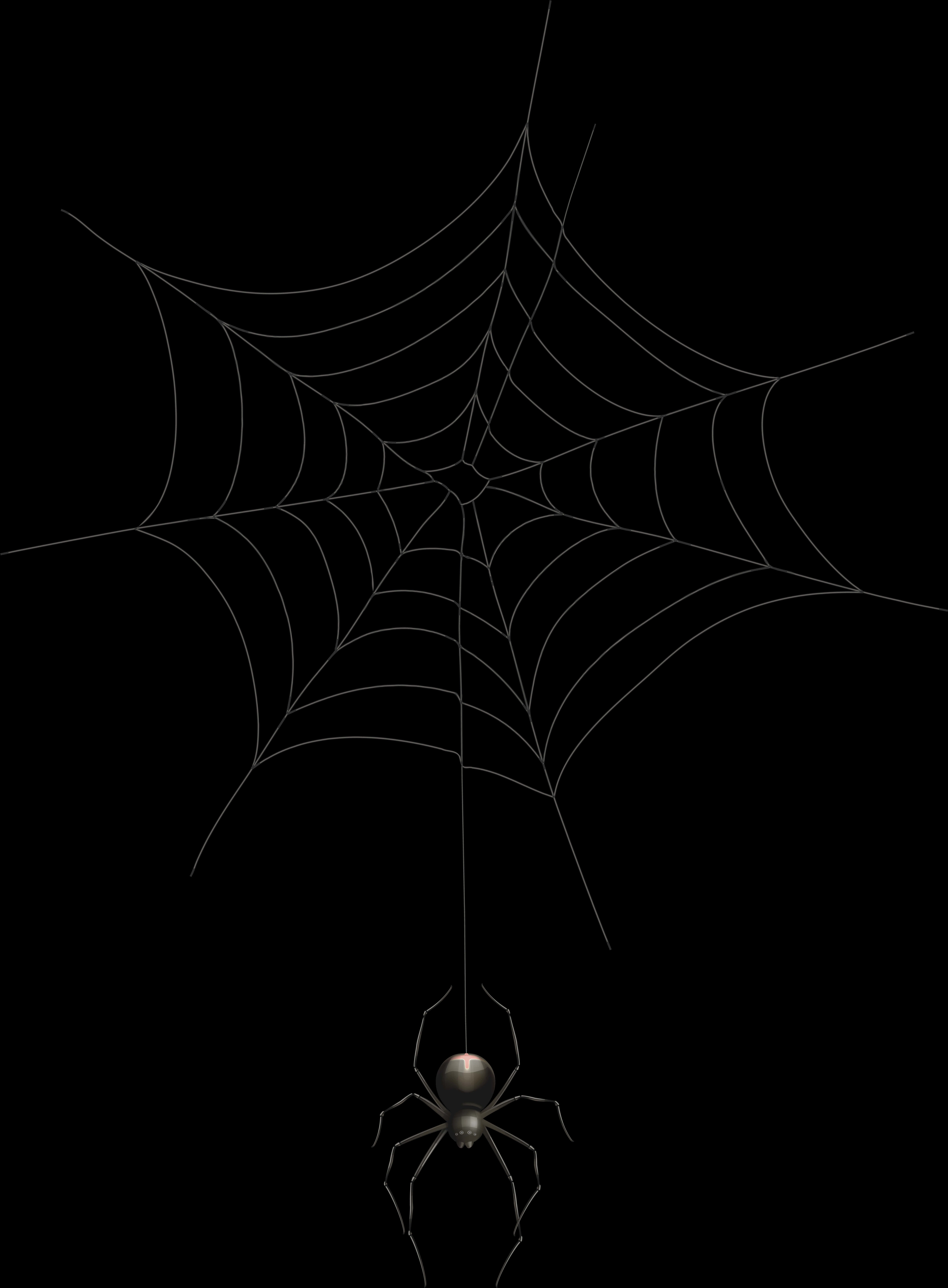 A Spider On A Web