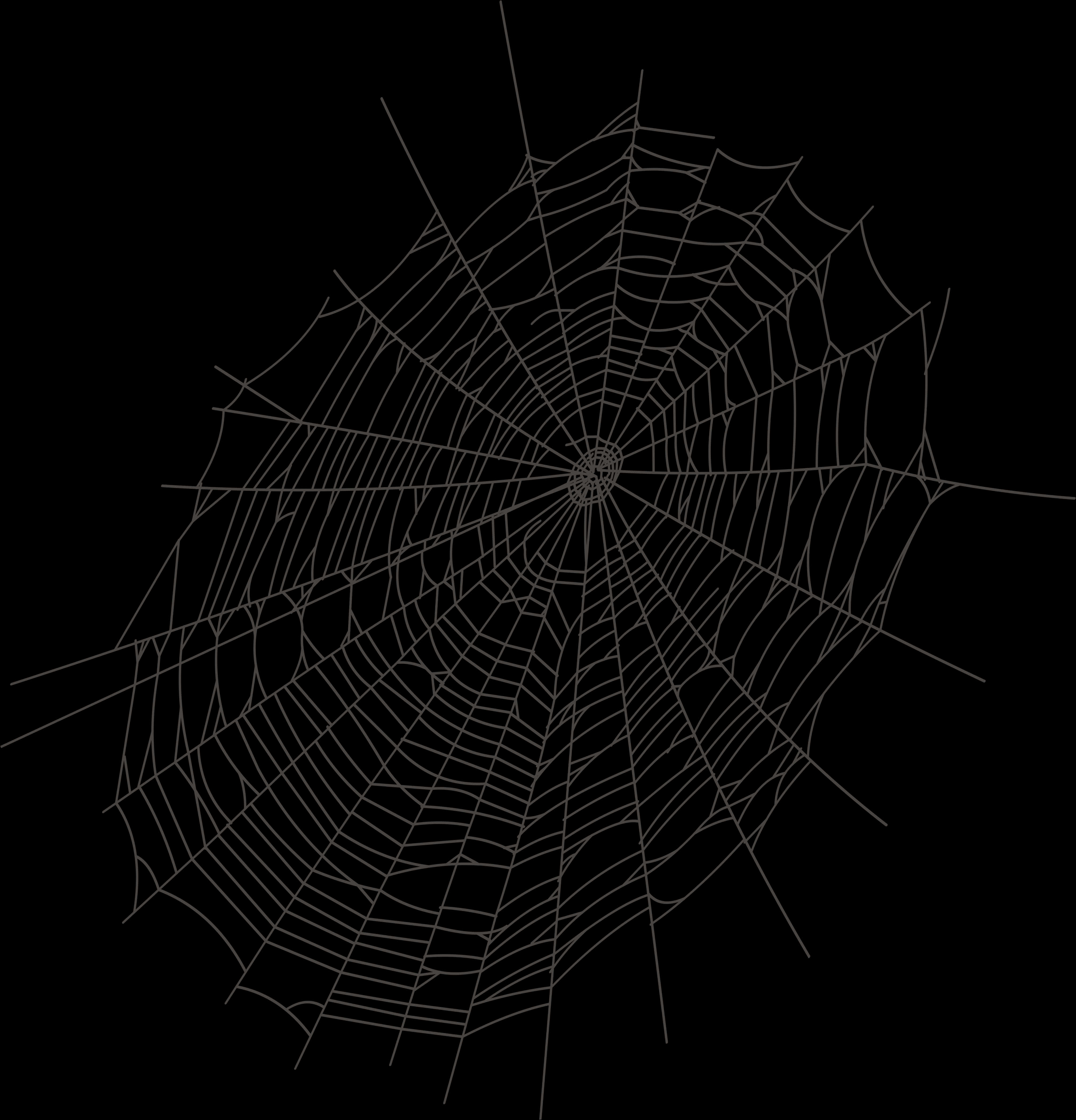 A Spider Web On A Black Background