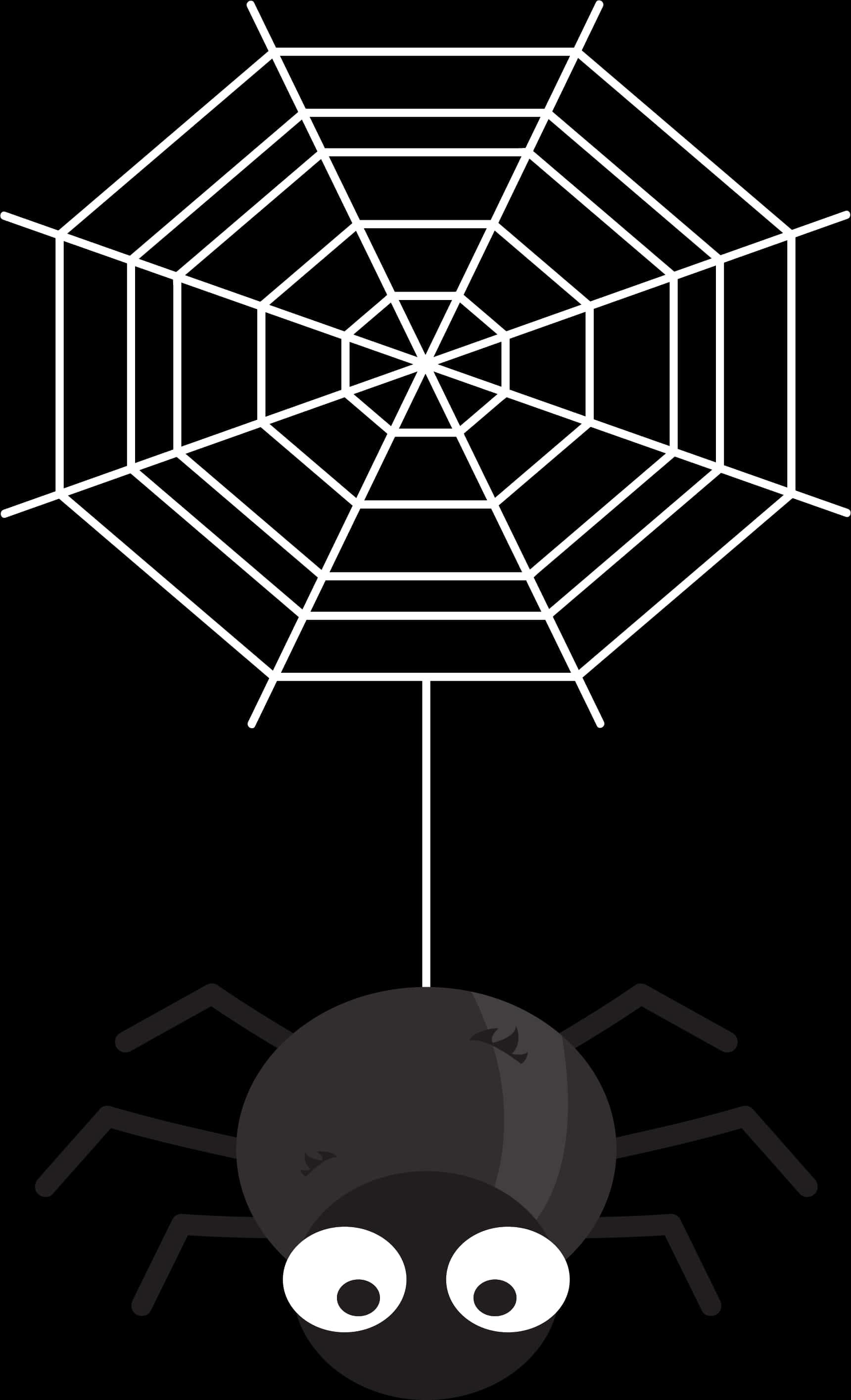 A Spider And A Web