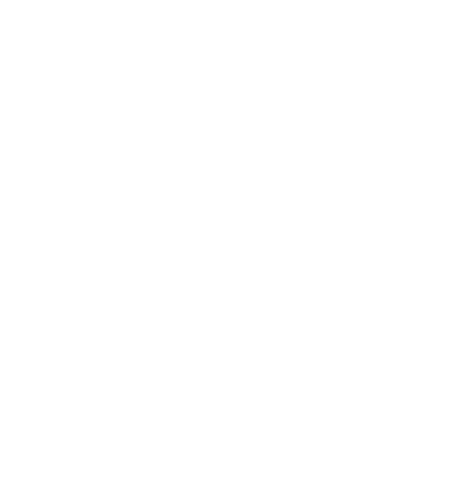 A Group Of White Spider Webs