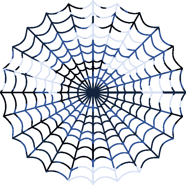 A Spider Web On A Black Background