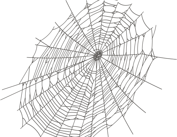 Spider Webs Png 619 X 481