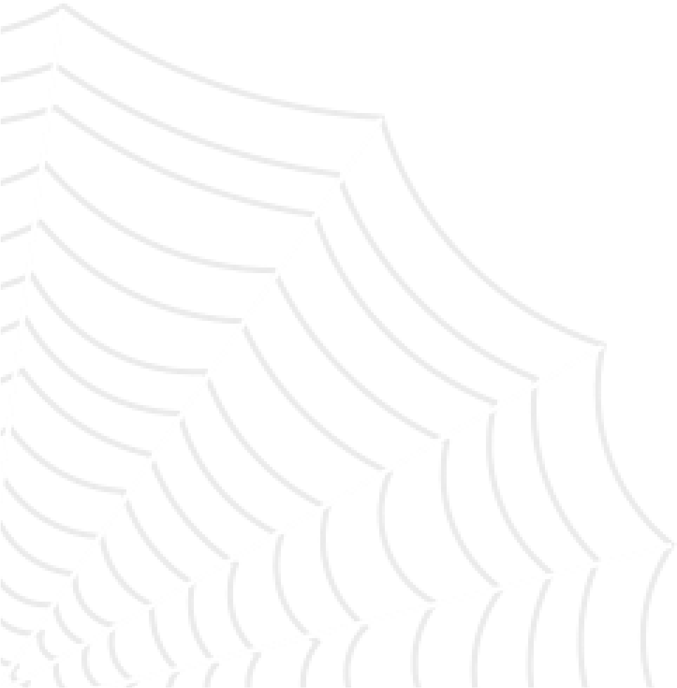 A White Spider Web On A Black Background