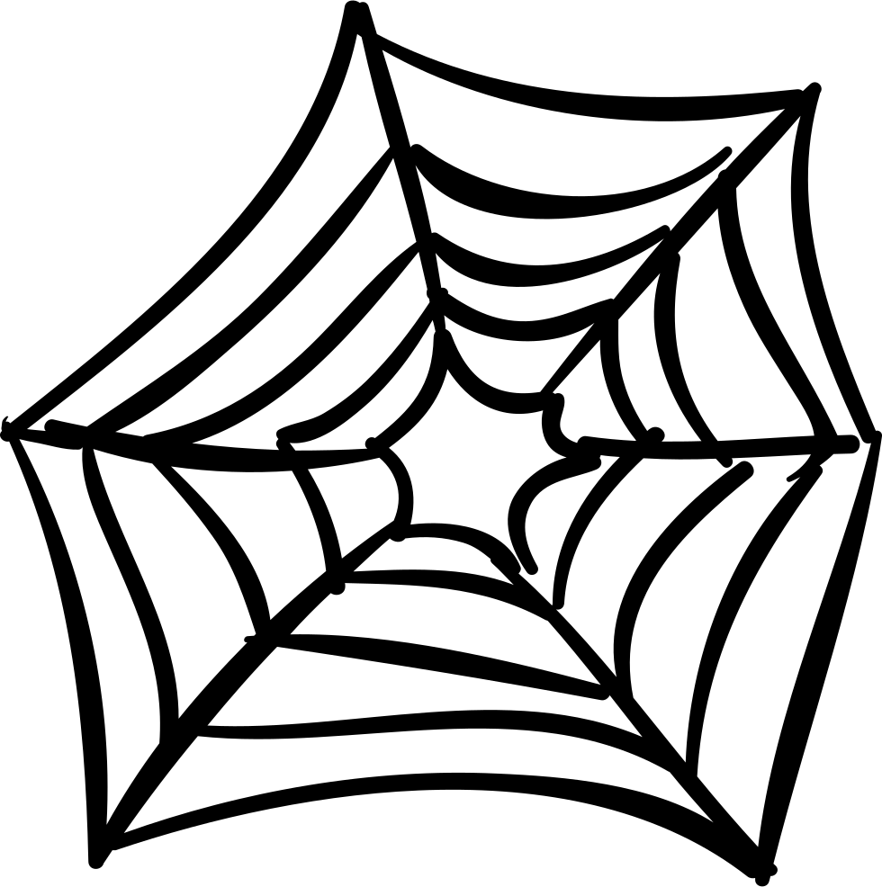 A Black And White Spider Web
