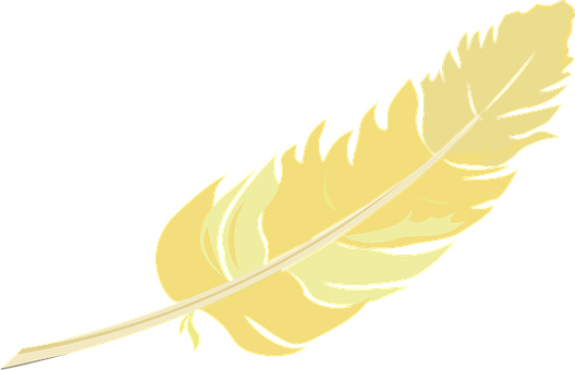 A Yellow Feather On A Black Background