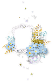 A Picture Frame With Flowers And Butterflies