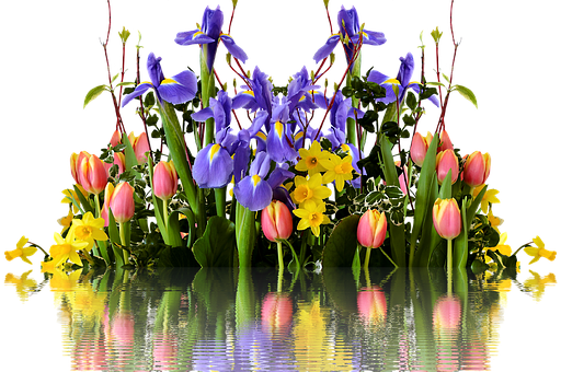 A Group Of Flowers In Water