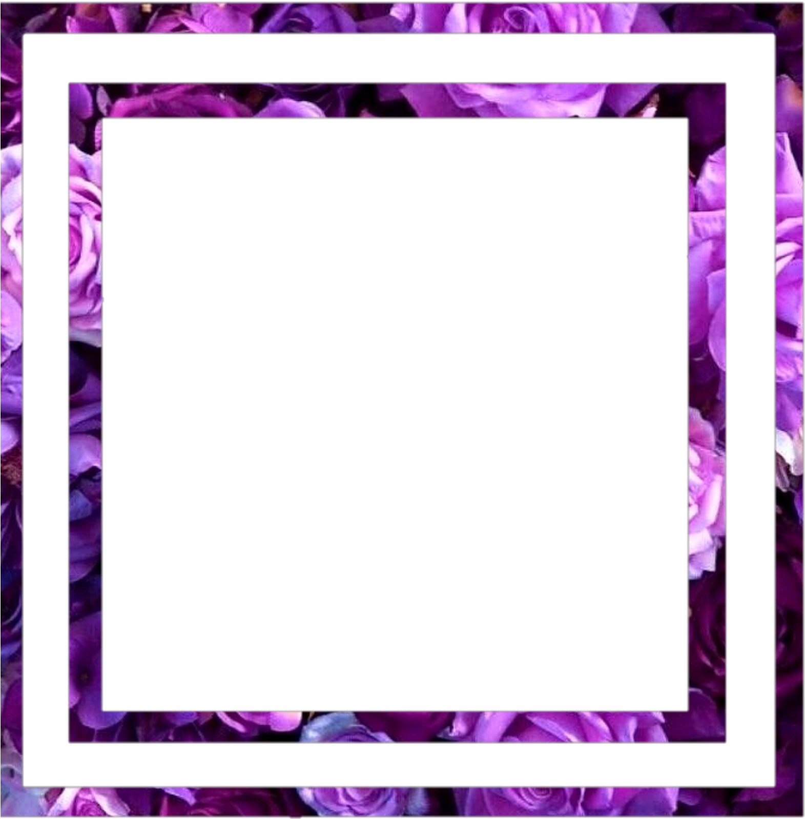 A Black Square With Purple Flowers
