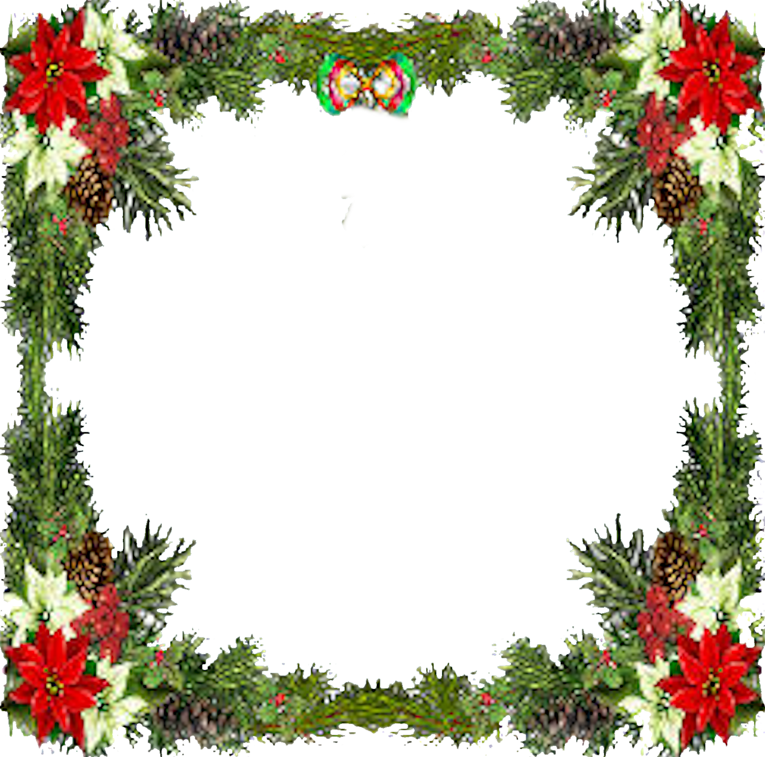 A Square Frame Of Pine Cones And Flowers