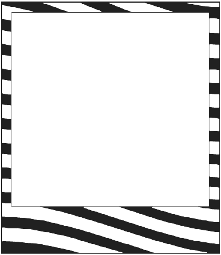 Zebra Stripe Square Frame