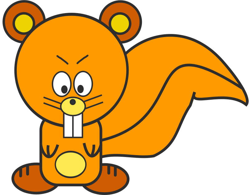 Squirrel Png 800 X 626