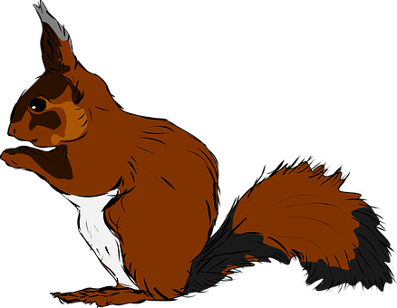 Squirrel Png 438 X 340