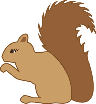 Squirrel Png 313 X 340