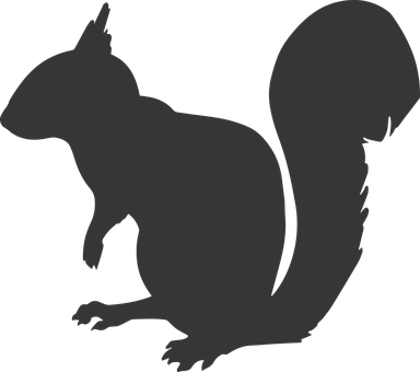 Squirrel Png 384 X 340