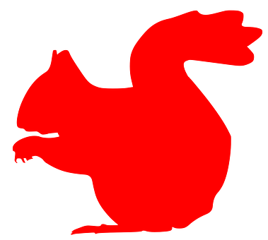Squirrel Png 379 X 340
