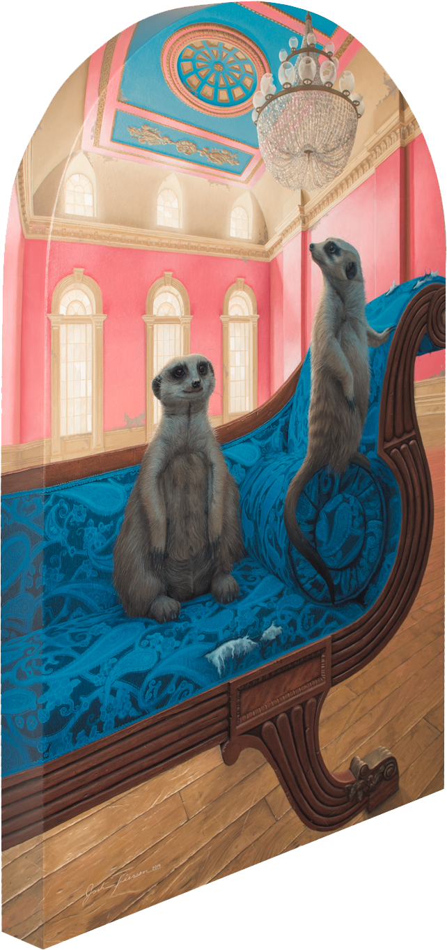 A Meerkats On A Blue Couch