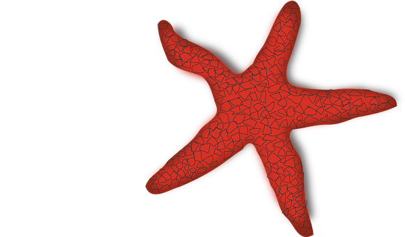A Red Starfish With Black Background