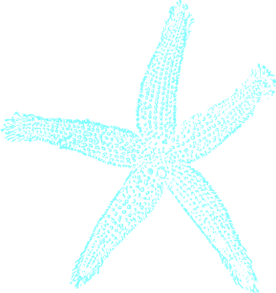 Starfish Clipart Png