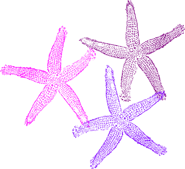 Starfish Clipart Png