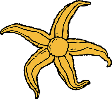 A Yellow Starfish On A Black Background
